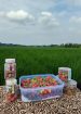 Aneka manisan buah Purwakarta