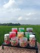 Aneka manisan buah Purwakarta